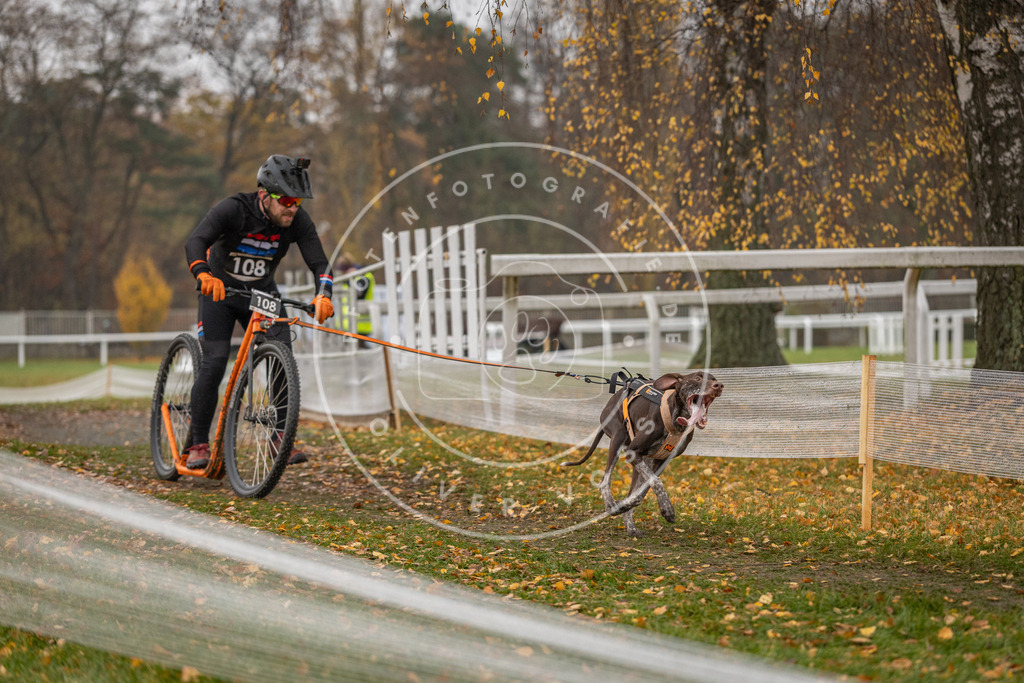 CaniXpix_DV3A8480 | Hundefotografie, Tierfotograf, Pfotenfotografie, Fotoshooting Hund, Hunde Portrait, Hundesport, Hundeportraits, Heideshooting, Hunde, Sportfotograf, Hundefotograf, Turnierhundsport, THS,  - Realisiert mit Pictrs.com