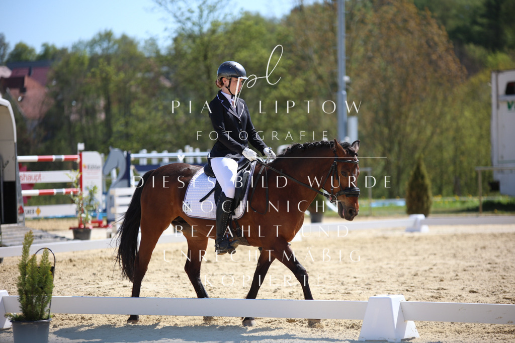 IMGT0519 | pl-fotografie