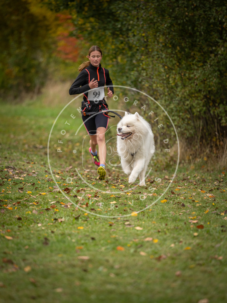 Pfotenfotografie_DV3A3410 | Hundefotografie, Tierfotograf, Pfotenfotografie, Fotoshooting Hund, Hunde Portrait, Hundesport, Hundeportraits, Heideshooting, Hunde, Sportfotograf, Hundefotograf, Turnierhundsport, THS,  - Realisiert mit Pictrs.com
