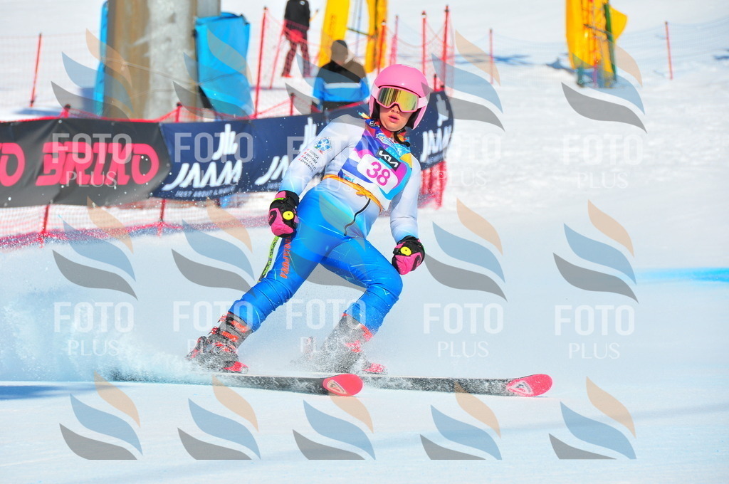 DSC_3996 | holidayphoto