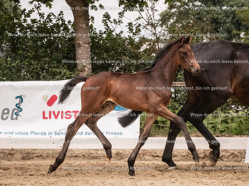 A10I5912 | photographylinaismer - Realisiert mit Pictrs.com