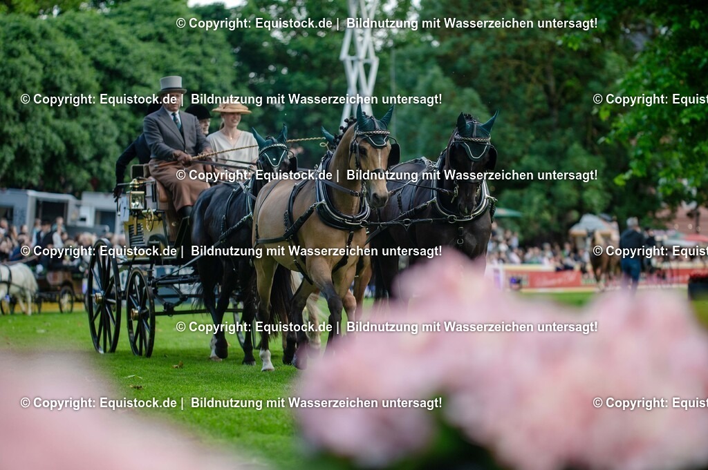 20250606_Lange-Pferdenacht_0118 | Foto: Thomas Hartig