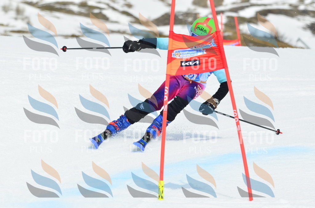 _ELE3021 | holidayphoto