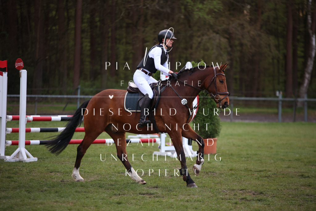 IMGT9514 | pl-fotografie