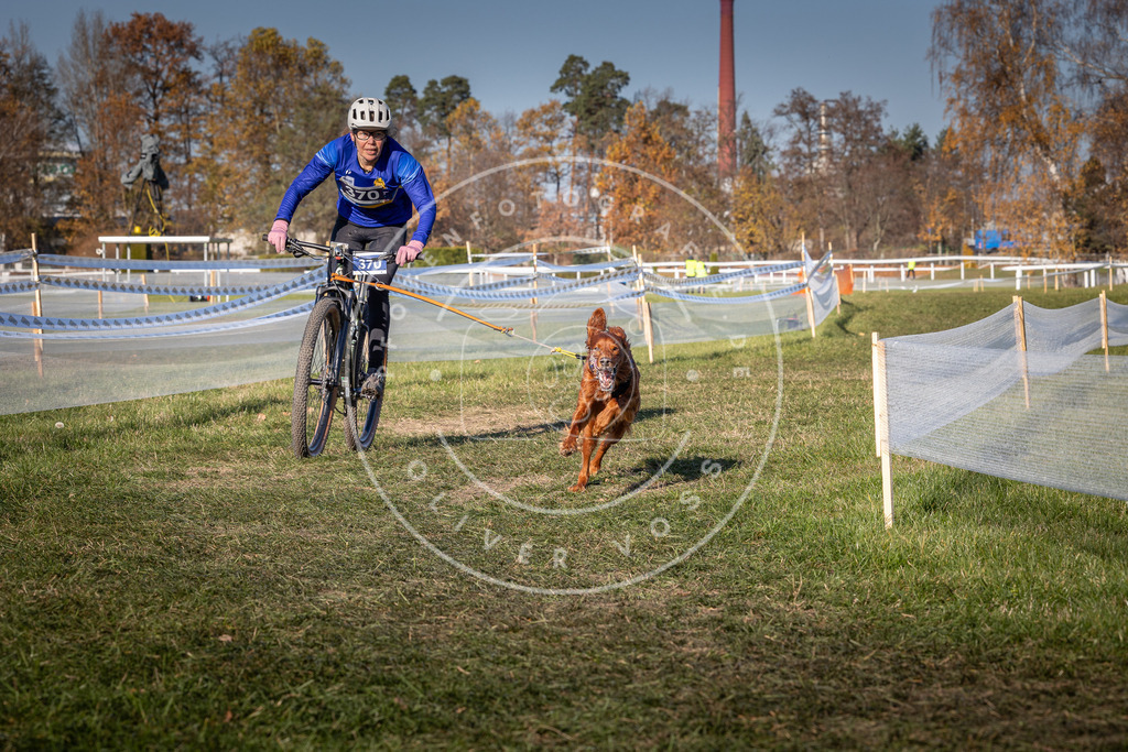 CaniXpix_0L8A6405 | Hundefotografie, Tierfotograf, Pfotenfotografie, Fotoshooting Hund, Hunde Portrait, Hundesport, Hundeportraits, Heideshooting, Hunde, Sportfotograf, Hundefotograf, Turnierhundsport, THS,  - Realisiert mit Pictrs.com