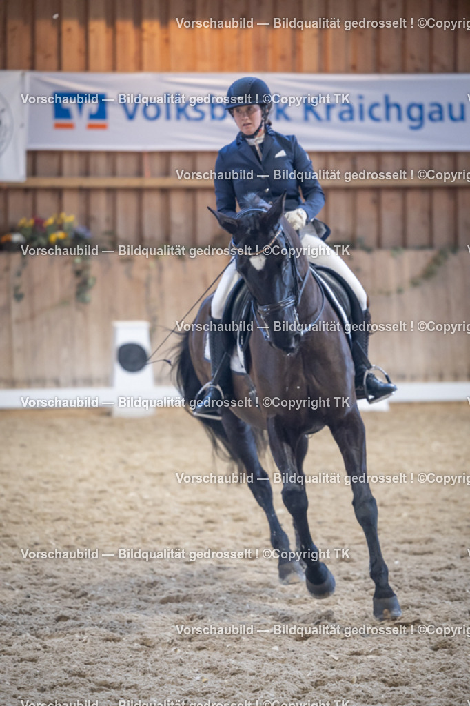 _D5A5146 | Emotionale Pferde- & People-Fotografie rund um Heidelberg, Leimen & Umgebung. Natürliche Fotos von Pferd, Mensch & Familie. Jetzt Termin sichern!