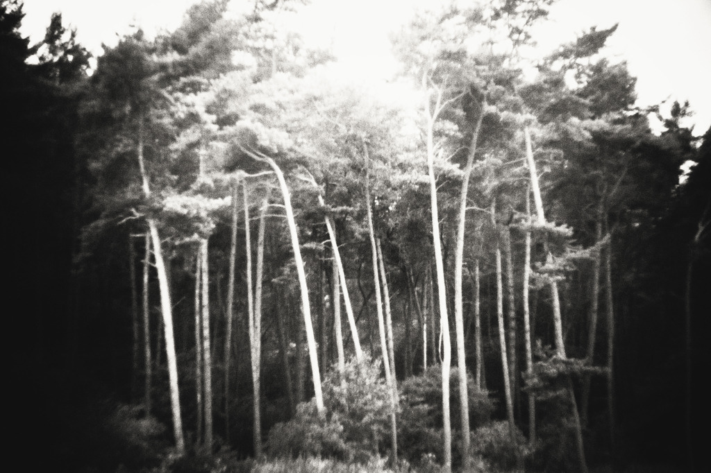 island_37_dorit_fuhg | Stimmungsvolle Fotografien von Dorit Fuhg. Kaufen Sie bequem hochwertige Fine-Art Drucke, Wandbilder und Kalender hier im Online-Shop. - Realisiert mit Pictrs.com