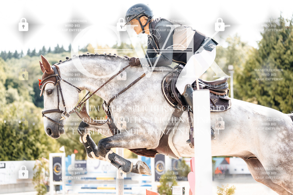 CK908724 | Turnierfotografie Pferdefotografie Trier Rheinland-Pfalz Pferdesport Reitsport Tierfotografie Sportfotografie Pferdevideo Pferdevideografie Equestrianvideography equestrianphotography  - Realisiert mit Pictrs.com