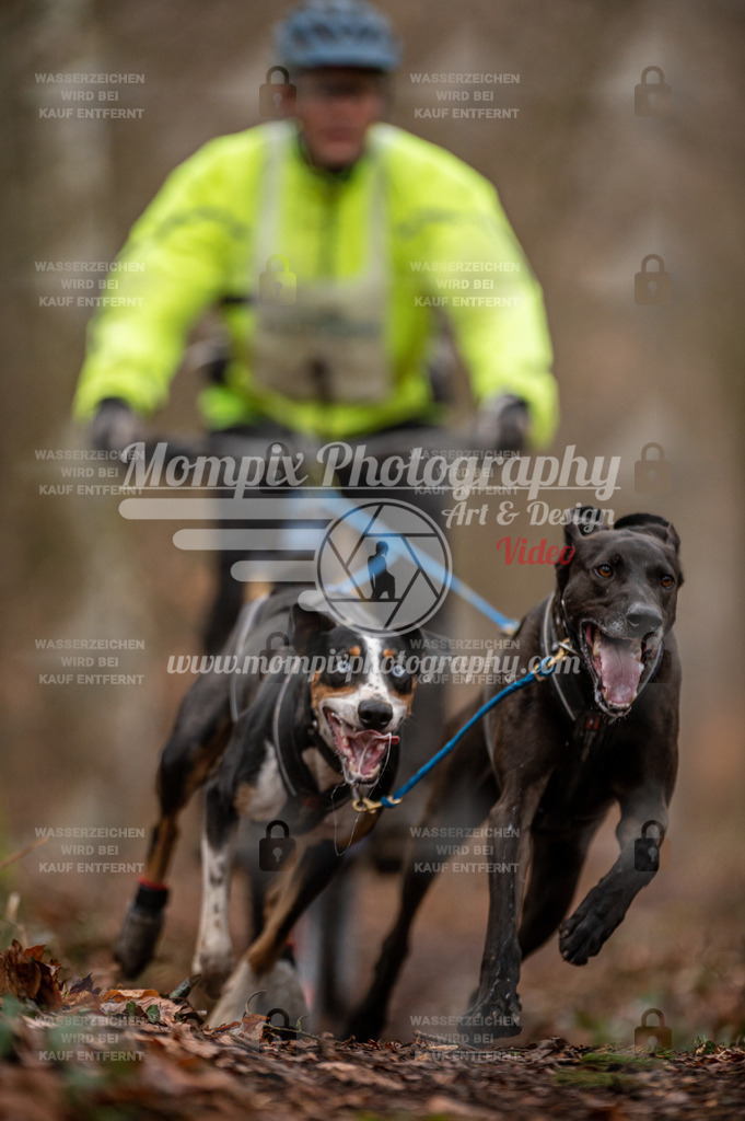 Reiat2023_SON_Bike_8km_2H-2 | mompixphotography