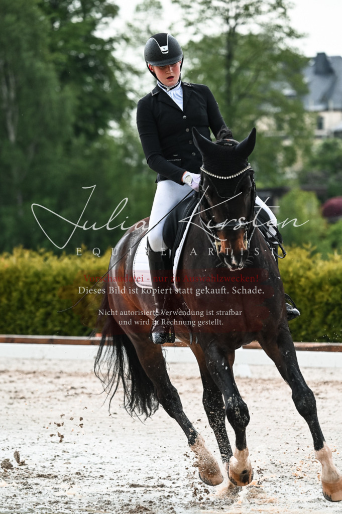 DSC_4368 | Pferde- und Turnierfotografie in Westsachsen. Pferdeportraits, Auftragszeichnungen und intuitive Kunst.