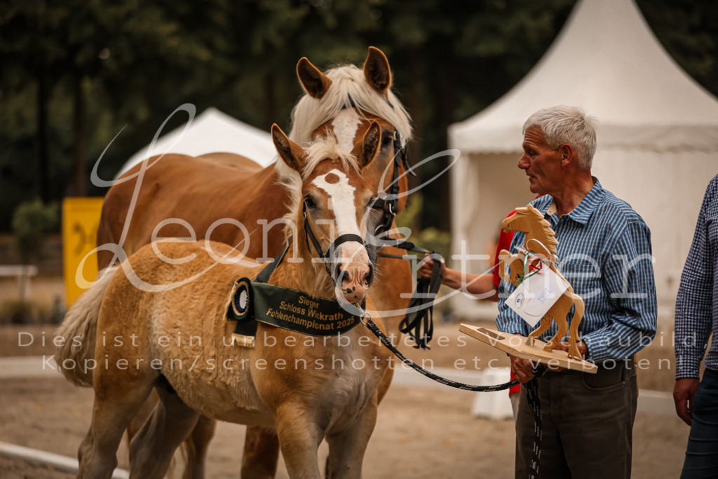 SaHF00151 | Leoni Ertmer Photography - Realisiert mit Pictrs.com