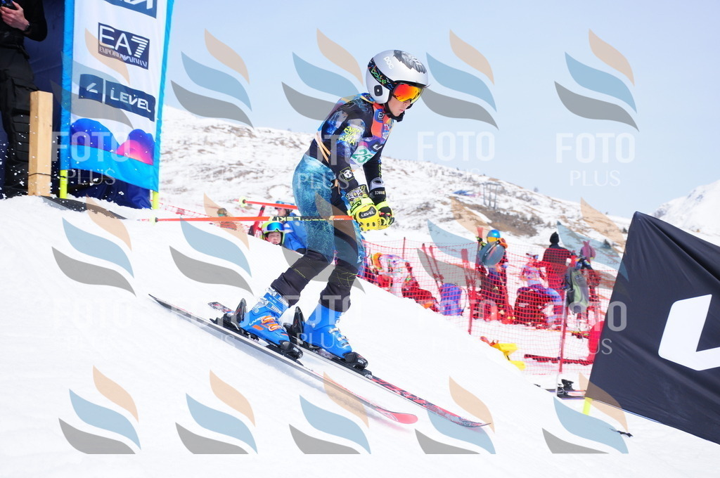 DSC_2463 | holidayphoto