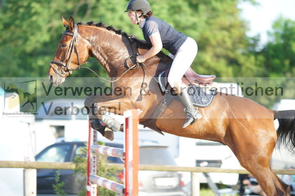 DSC09743 | equestrian-live-com