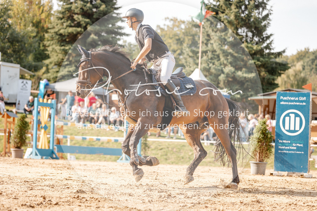 3I6A4991 | Stimmungsvolle Portraits und Reitsportfotografie im Ruhrgebiet und im Münsterland.

Pferdefotografie, Hundefotografie, Tierfotografie, Reportagen, Portraits von Tier und Mensch, Turnierfotografie in Bochum, Recklinghausen, Marl, Haltern am See, Dülmen.. - Realisiert mit Pictrs.com