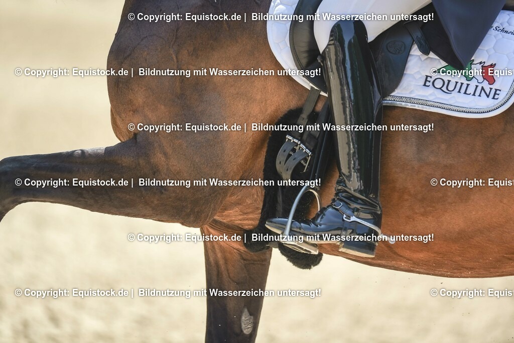 TP5_1352 | equistock