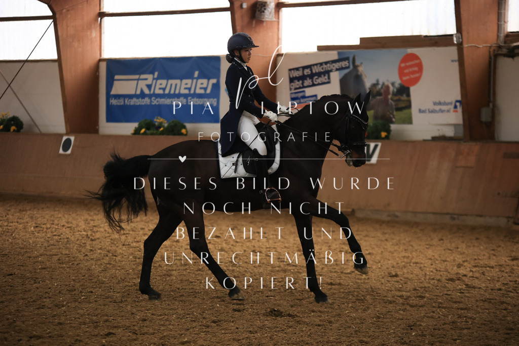 IMGT5447 | pl-fotografie