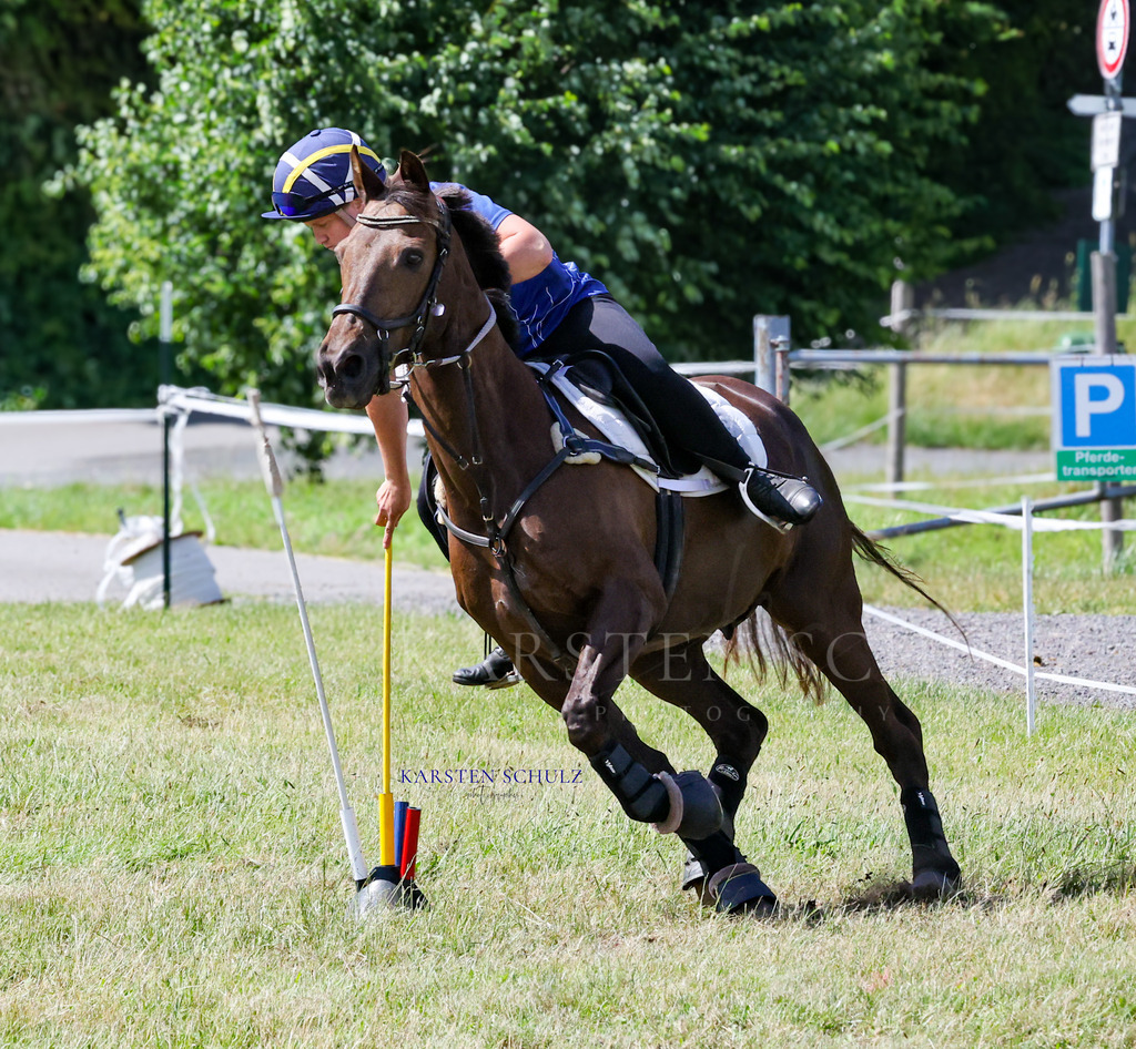1B3A4766 | Reitsport Reiten