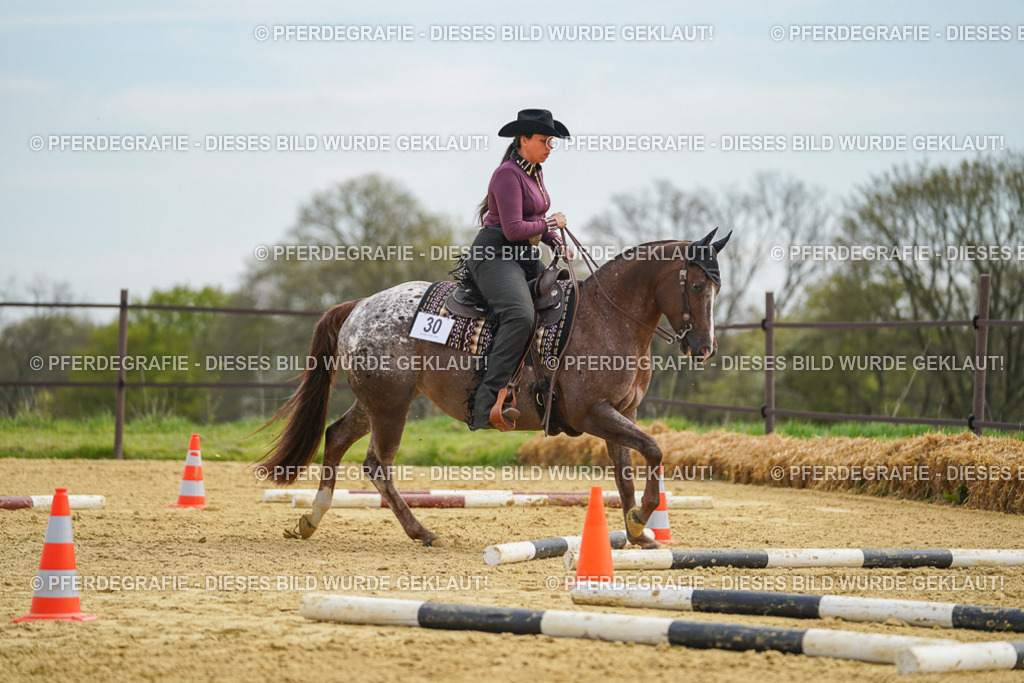 DSC03492 | Pferdegrafie