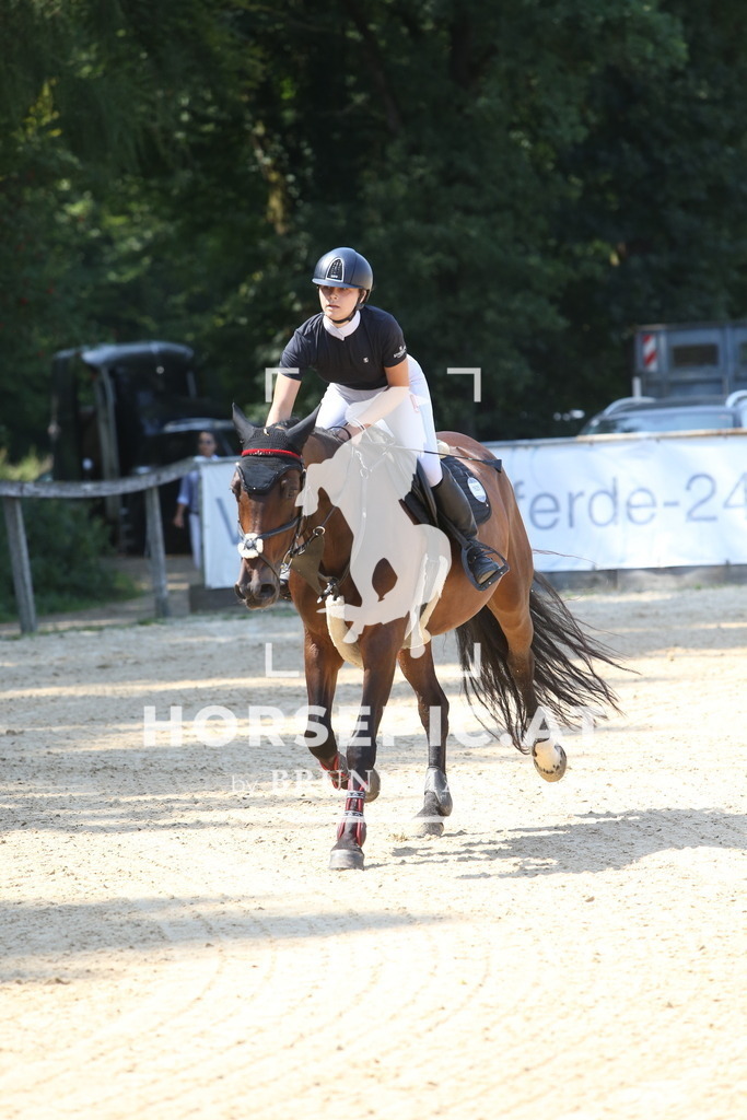 DL2Q1150 | Willkommen bei Brunnmayr - Design & Fotografie – Ihrem Spezialisten für Reitturniere und Pferdeveranstaltungen in Oberösterreich, Salzburg und Bayern! Seit über 17 Jahren sind wir leidenschaftlich dabei.