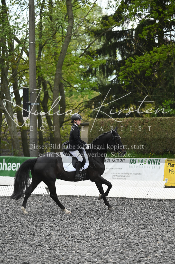 20230512_JK-Röhrsdorf-07-008 | Pferde- und Turnierfotografie in Westsachsen. Pferdeportraits, Auftragszeichnungen und intuitive Kunst.