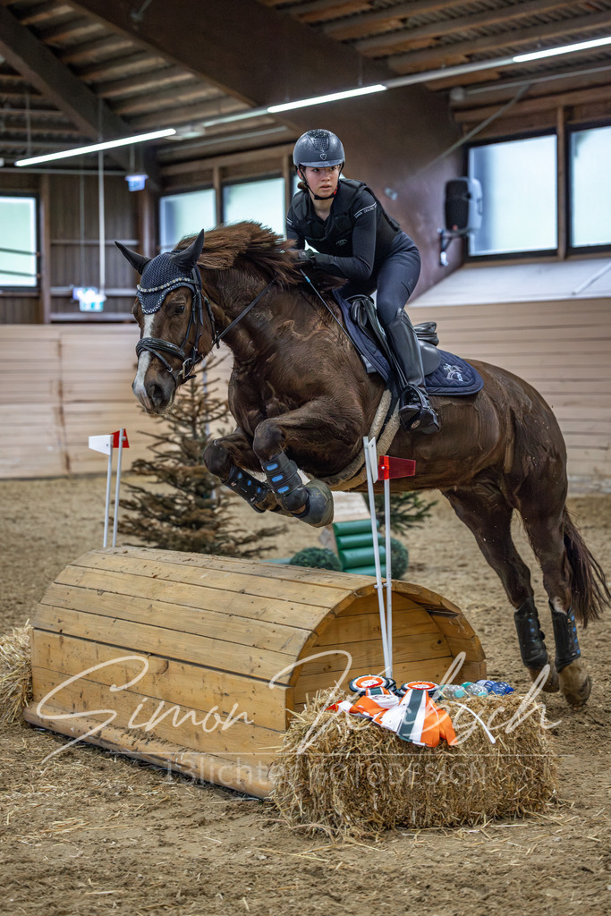 20260222-_3LI1257 | Tierfotografie Pferde, Hunde, Katzen, Haustiere.
Turnierfotografie Reitturniere, Reiten, Springreiten, Dressur in Hanau, dem Main-Kinzig-Kreis und dem Rhein-Main- Gebiet um Frankfurt
