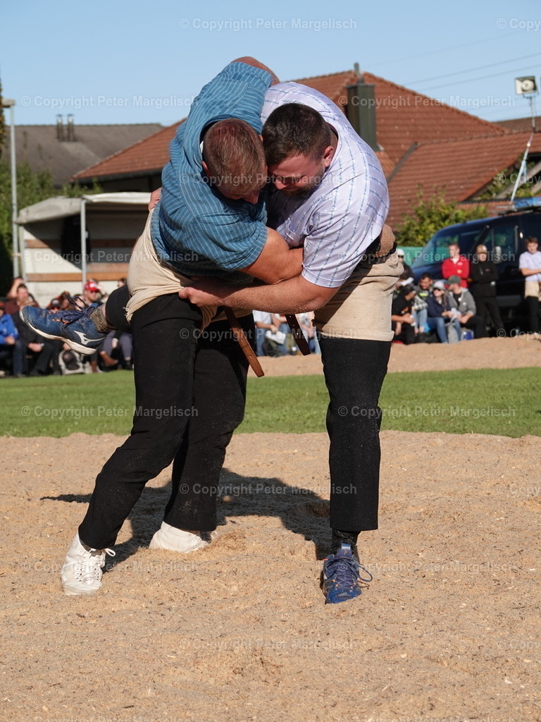 DSC05548 | Schwingen - Realisiert mit Pictrs.com