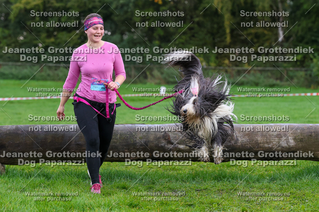 Dog Paparazzi -  SD1026-2031 | Dog Paparazzi Jeanette Grottendiek Fotografie & Videografie - Realisiert mit Pictrs.com