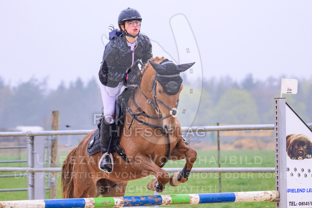 10042026-Mammendorf-Prfg14-0226 | Fokus Hufschlag Fotografie - Realisiert mit Pictrs.com