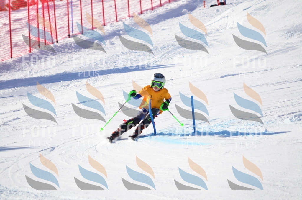 C6116 | holidayphoto