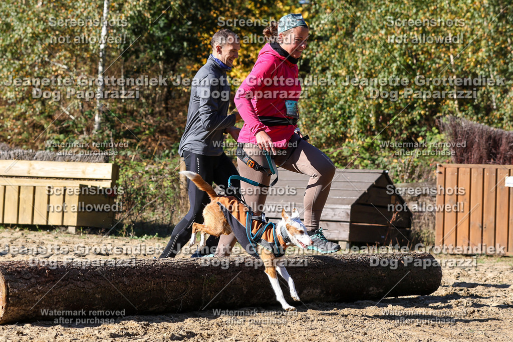 Dog Paparazzi - Strongdog 10-25-2734 | Dog Paparazzi Jeanette Grottendiek Fotografie & Videografie - Realisiert mit Pictrs.com