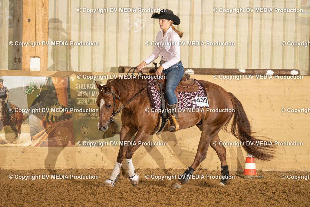 LAU00621 | dv-media-shop - Realisiert mit Pictrs.com