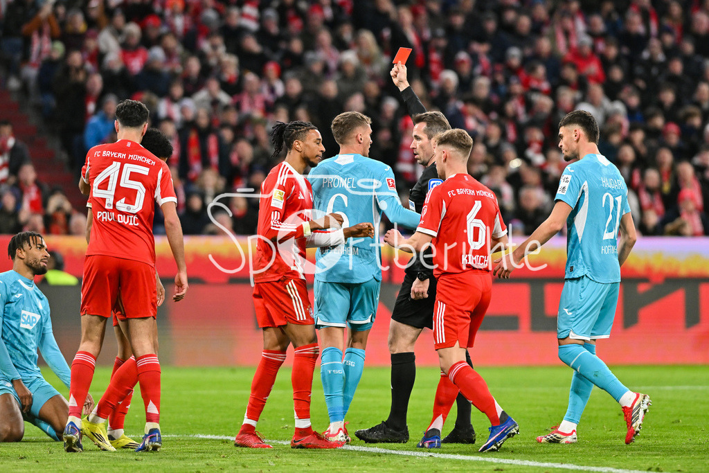 FC Bayern München - TSG 1899 Hoffenheim | MUNICH, GERMANY - 08. FEBRUARY: im Bild Schiedsrichter Tobias STIELER der Kevin AKPOGUMA (TSG Hoffenheim 25) die rote Karte zeigt während dem Bundesligamatch zwischen dem FC Bayern München und der TSG 1899 Hoffenheim am 21. Spieltag in der Allianz Arena / DFL REGULATIONS PROHIBIT ANY USE OF PHOTOGRAPHS AS IMAGE SEQUENCES AND/OR QUASI-VIDEO