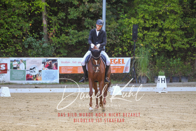 DKP41556 | Turniersportfotografie; Pferdefotografie; Dressurfotografie