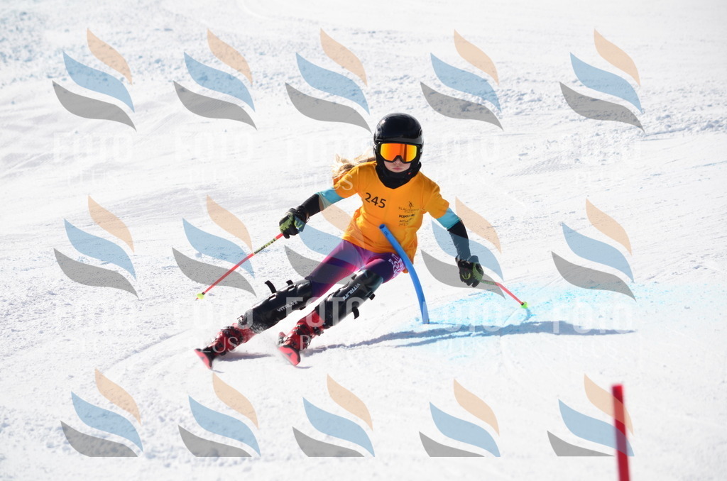 C8410 | holidayphoto