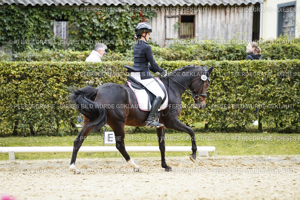 DSC01920 | Pferdegrafie