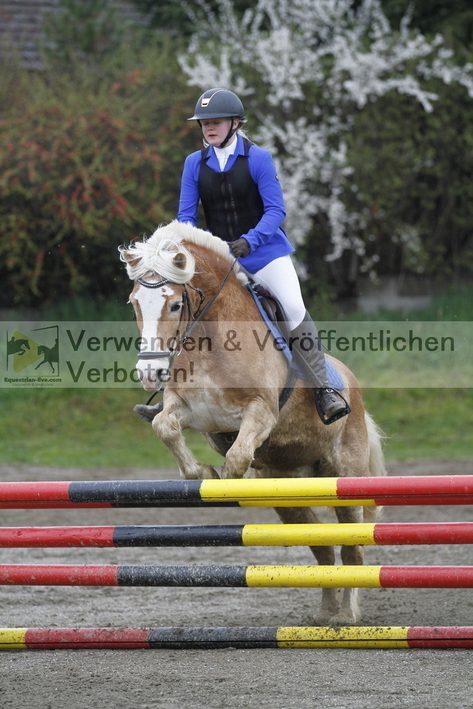 _MG_3446 | equestrian-live-com
