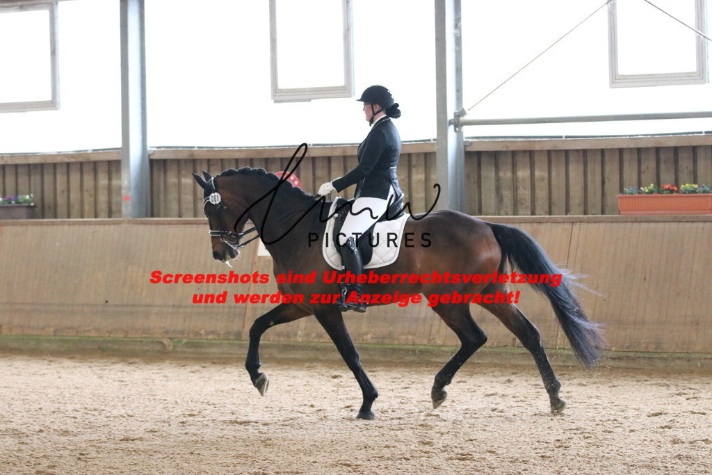 IMG_9603 | lmwpictures - Realisiert mit Pictrs.com