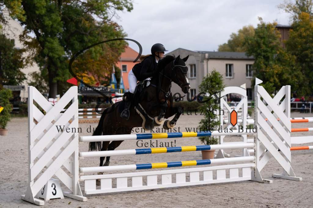 A7V00391 | Pferdefotograf