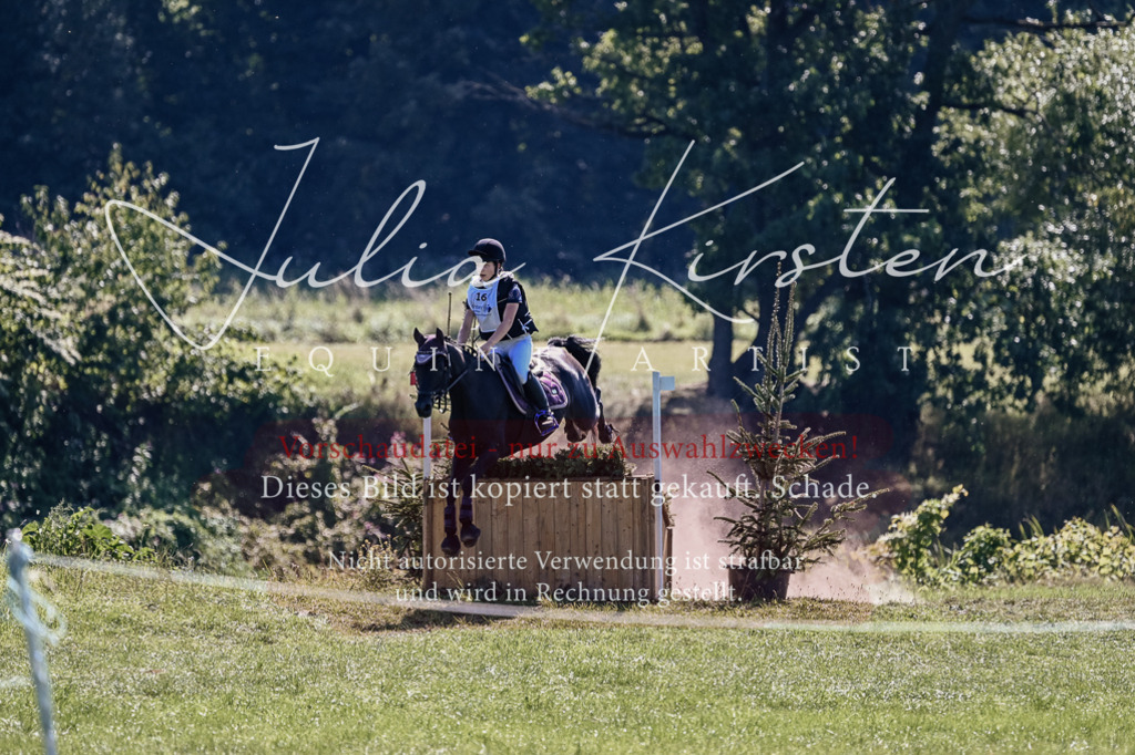 DSC_1917 | Pferde- und Turnierfotografie in Westsachsen. Pferdeportraits, Auftragszeichnungen und intuitive Kunst.