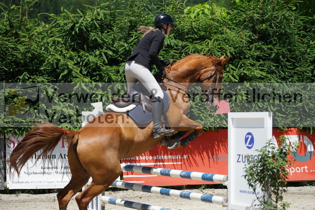 DSC09191 | equestrian-live-com