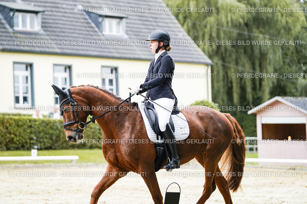 DSC07305 | Pferdegrafie