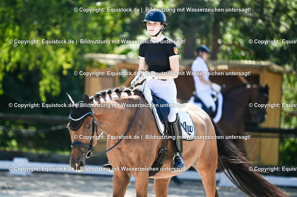 20230908_06_Dressur-L-Trense_0800 | equistock