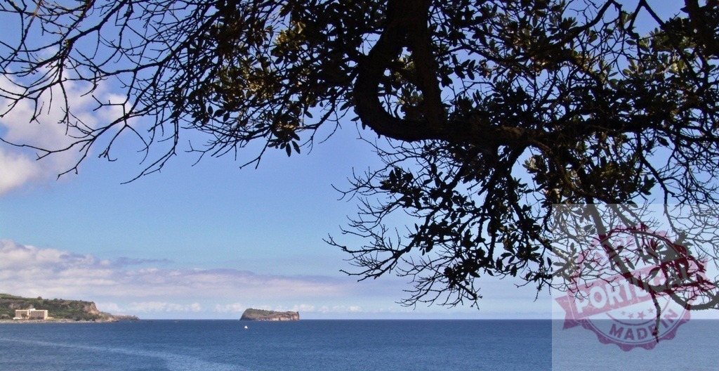 Tree branches framing blue sea and distant island | Silhouette of tree branches framing vast blue sea with a small island in the distance - Realisiert mit Pictrs.com
