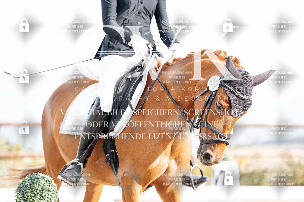 CK901144 | Turnierfotografie Pferdefotografie Trier Rheinland-Pfalz Pferdesport Reitsport Tierfotografie Sportfotografie Pferdevideo Pferdevideografie Equestrianvideography equestrianphotography  - Realisiert mit Pictrs.com