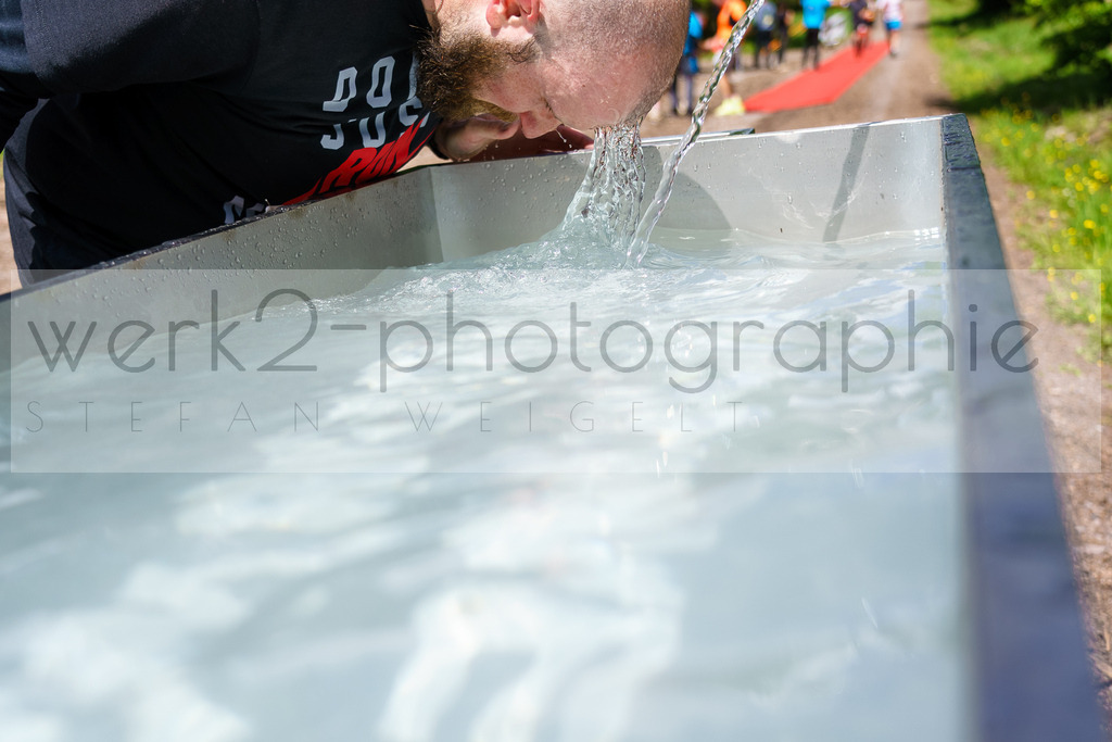 Rennsteiglauf Marathon 2024 | 25. Mai 2024 - 42,2 km von Neuhaus nach Schmiedefeld
