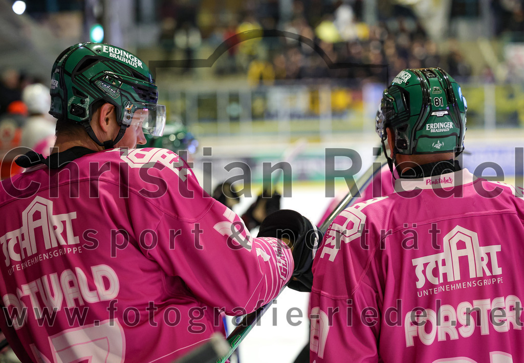 2025-10-10_084_TSV_Erding_gegen_onesto_Tigers_Bayreuth | Erding, Deutschland, 10.10.2025:Eishockey, Oberliga Süd 2025 / 2026, 7. Spieltag, TSV Erding gegen onesto Tigers Bayreuth, Endergebnis: 2:5Elia Ostwald (Erding Gladiators, #17), Maximilian Forster (Erding Gladiators, #81)Foto: Christian Riedel / fotografie-riedel.net