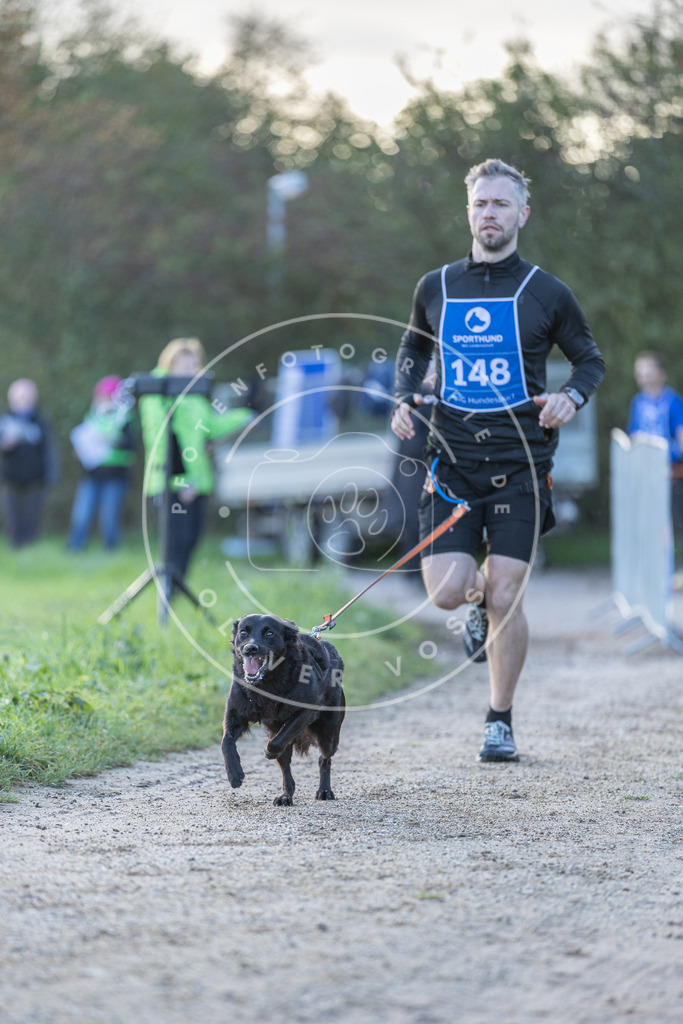 Pfotenfotografie.de_DV3A2835 | Hundefotografie, Tierfotograf, Pfotenfotografie, Fotoshooting Hund, Hunde Portrait, Hundesport, Hundeportraits, Heideshooting, Hunde, Sportfotograf, Hundefotograf, Turnierhundsport, THS, canicross - Realisiert mit Pictrs.com
