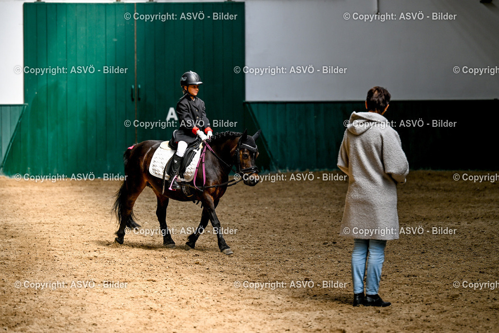 ASVÖ_ Reiten Bezirksmeisterschaft_ 24.08.2025-69 | 24.08.2025, AUT, ASVÖ, Reiten Bezirksmeisterschaft 2025Dressur und Springreiten©fodo.media / Harald Dostal - Realisiert mit Pictrs.com