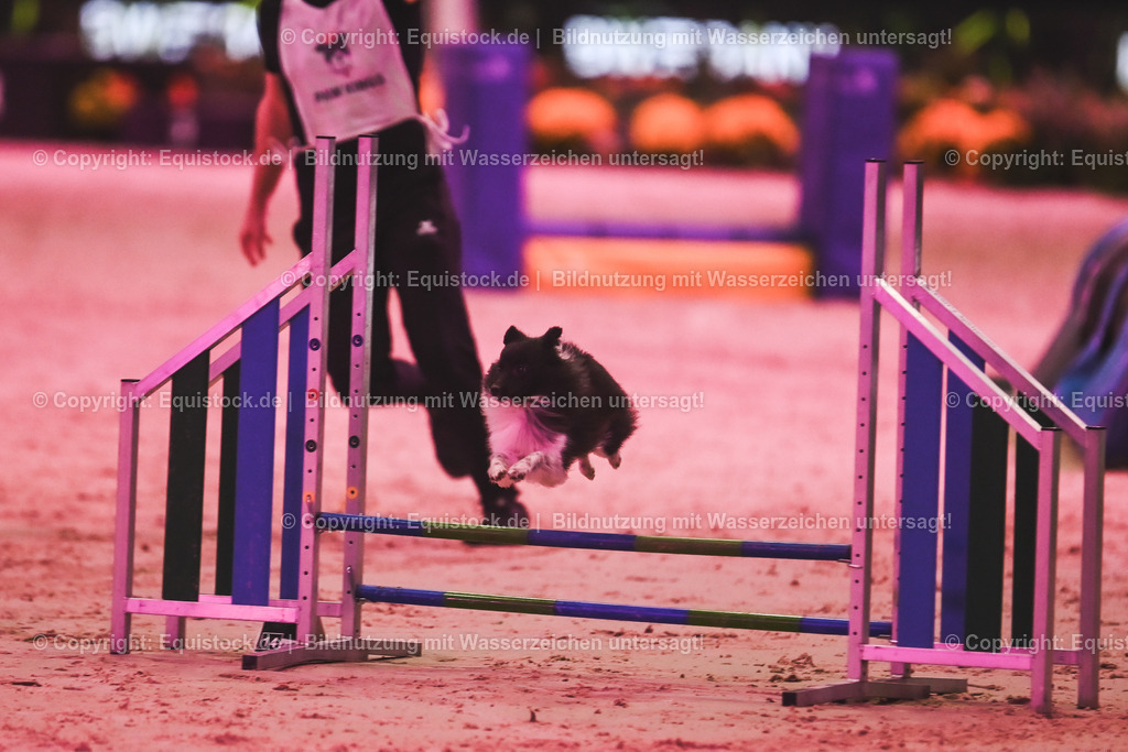 20241113_Showabend_TOMsPiC_0374 | Foto: Thomas Hartig