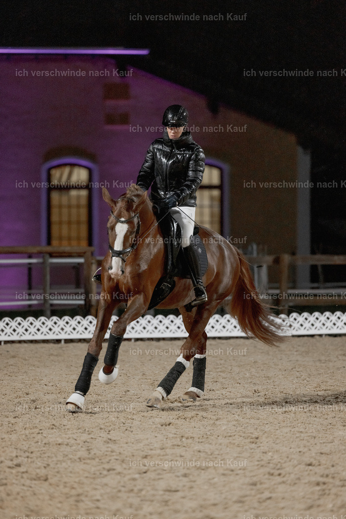 FHClassics-24 | working equitationturnier fotograf videograf stoibphotography marixx film working equitation deutschland reitsport turnierfotografie eventfotografie equestrian events